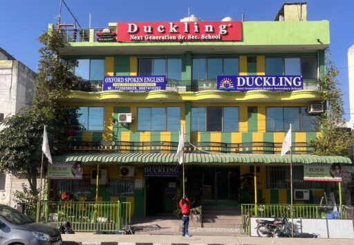 duckling school